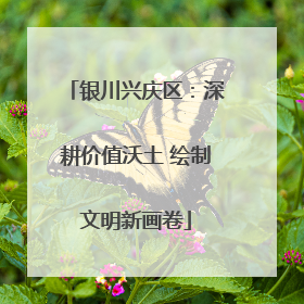 银川兴庆区：深耕价值沃土 绘制文明新画卷