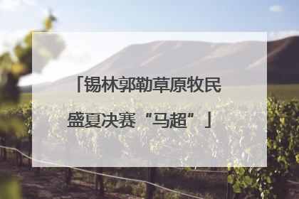 锡林郭勒草原牧民盛夏决赛“马超”