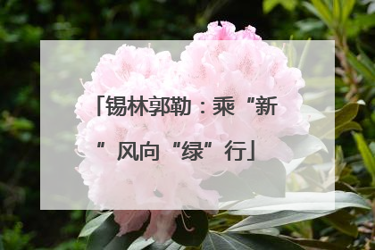 锡林郭勒：乘“新”风向“绿”行