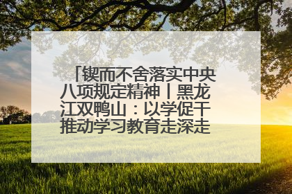 锲而不舍落实中央八项规定精神丨黑龙江双鸭山：以学促干推动学习教育走深走实 从小事入手写好“民生答卷”