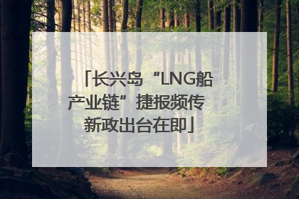 长兴岛“LNG船产业链”捷报频传 新政出台在即