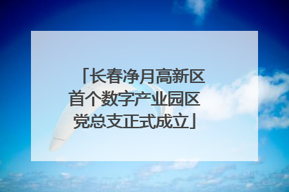 长春净月高新区首个数字产业园区党总支正式成立