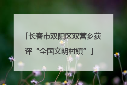 长春市双阳区双营乡获评“全国文明村镇”