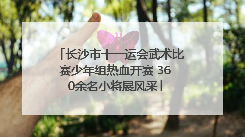 长沙市十一运会武术比赛少年组热血开赛 360余名小将展风采