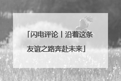 闪电评论丨沿着这条友谊之路奔赴未来
