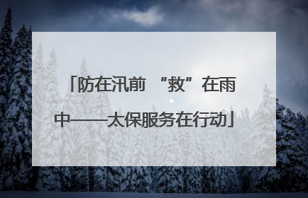 防在汛前 “救”在雨中——太保服务在行动