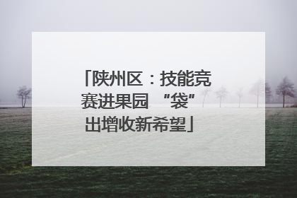 陕州区：技能竞赛进果园 “袋”出增收新希望