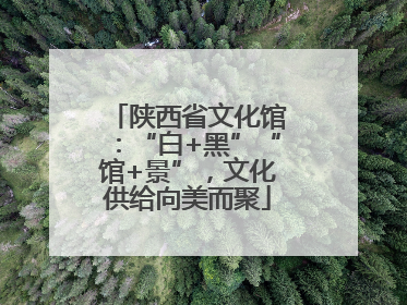 陕西省文化馆：“白+黑”“馆+景”，文化供给向美而聚