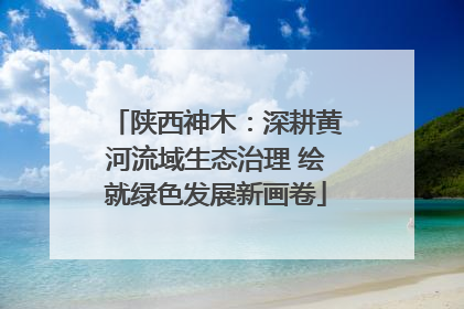 陕西神木：深耕黄河流域生态治理 绘就绿色发展新画卷