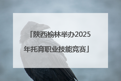 陕西榆林举办2025年托育职业技能竞赛