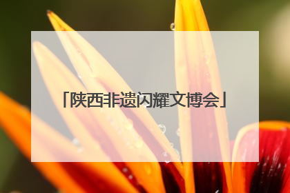 陕西非遗闪耀文博会