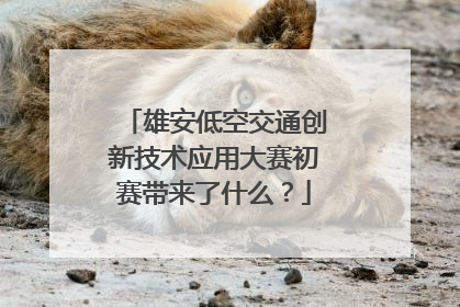 雄安低空交通创新技术应用大赛初赛带来了什么？
