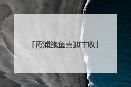 霞浦鲍鱼喜迎丰收