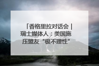 香格里拉对话会｜瑞士媒体人：美国施压盟友“极不理性” 欧洲国家无意与中国“脱钩断链”