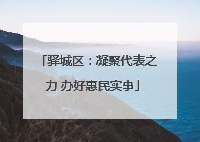 驿城区：凝聚代表之力 办好惠民实事