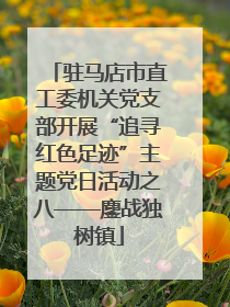 驻马店市直工委机关党支部开展“追寻红色足迹”主题党日活动之八——鏖战独树镇