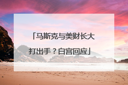 马斯克与美财长大打出手？白宫回应
