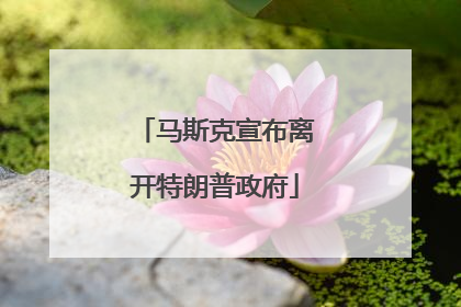 马斯克宣布离开特朗普政府