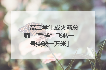 高二学生成火箭总师 “手搓”飞燕一号突破一万米