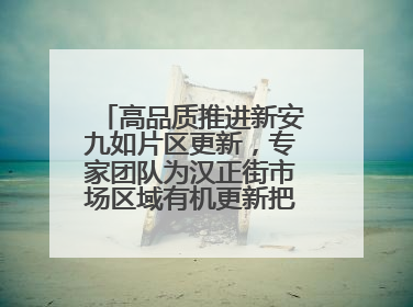 高品质推进新安九如片区更新，专家团队为汉正街市场区域有机更新把脉问诊