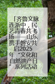 齐鲁文脉连浙中，民艺青春共飞扬——山东携手磐安共启2025年“文化和自然遗产日”系列活动