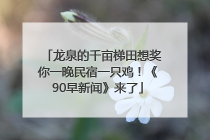 龙泉的千亩梯田想奖你一晚民宿一只鸡！《90早新闻》来了