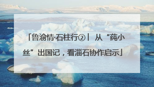 鲁渝情·石柱行② ︳从“莼小丝”出国记，看淄石协作启示
