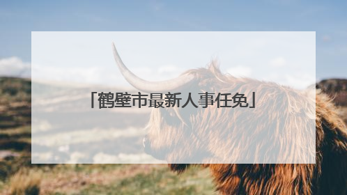 鹤壁市最新人事任免