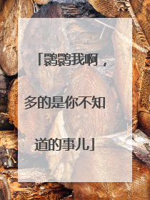 鹮鹮我啊，多的是你不知道的事儿