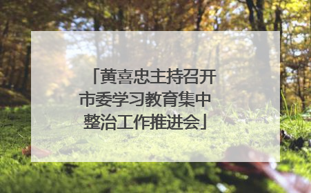 黄喜忠主持召开市委学习教育集中整治工作推进会