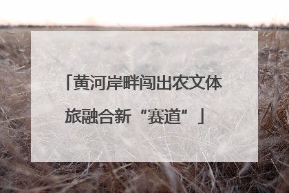 黄河岸畔闯出农文体旅融合新“赛道”