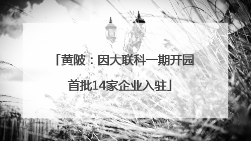 黄陂：因大联科一期开园 首批14家企业入驻