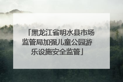 黑龙江省明水县市场监管局加强儿童公园游乐设施安全监管