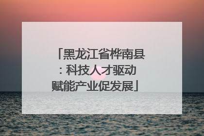 黑龙江省桦南县：科技人才驱动 赋能产业促发展