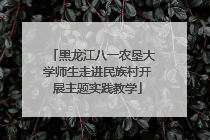 黑龙江八一农垦大学师生走进民族村开展主题实践教学