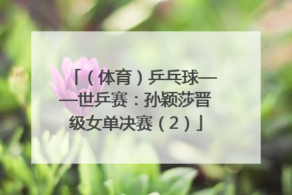（体育）乒乓球——世乒赛：孙颖莎晋级女单决赛（2）