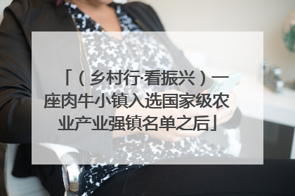 （乡村行·看振兴）一座肉牛小镇入选国家级农业产业强镇名单之后