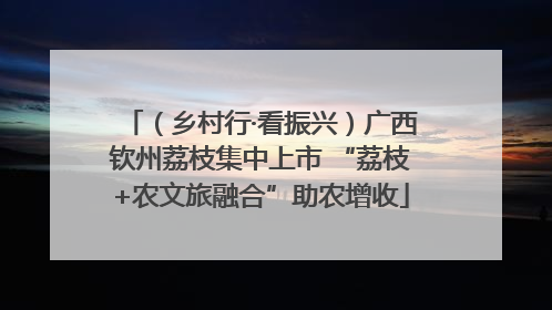 （乡村行·看振兴）广西钦州荔枝集中上市 “荔枝+农文旅融合”助农增收