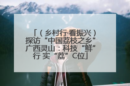 （乡村行·看振兴）探访“中国荔枝之乡”广西灵山：科技“鲜”行 实“荔”C位