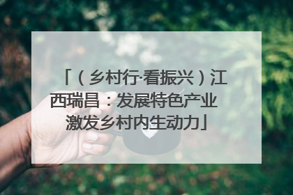 （乡村行·看振兴）江西瑞昌：发展特色产业 激发乡村内生动力