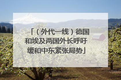 （外代一线）德国和埃及两国外长呼吁缓和中东紧张局势