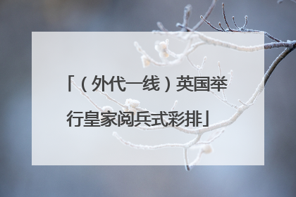 （外代一线）英国举行皇家阅兵式彩排