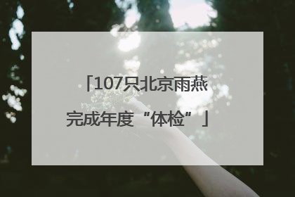107只北京雨燕完成年度“体检”