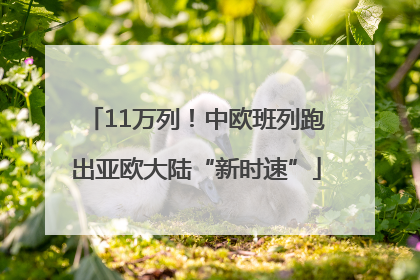 11万列！中欧班列跑出亚欧大陆“新时速”