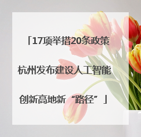 17项举措20条政策 杭州发布建设人工智能创新高地新“路径”