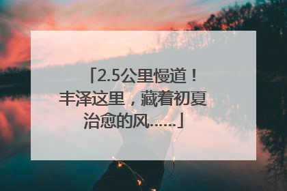 2.5公里慢道！丰泽这里，藏着初夏治愈的风……