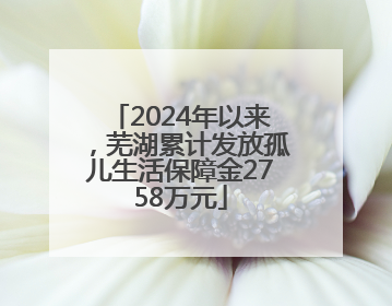 2024年以来，芜湖累计发放孤儿生活保障金2758万元