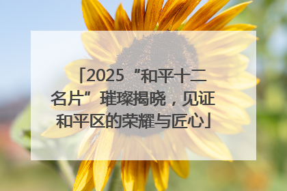 2025“和平十二名片”璀璨揭晓，见证和平区的荣耀与匠心