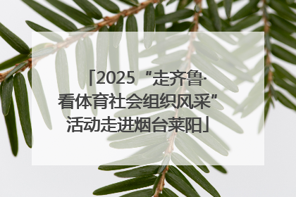 2025“走齐鲁·看体育社会组织风采”活动走进烟台莱阳