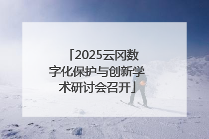 2025云冈数字化保护与创新学术研讨会召开